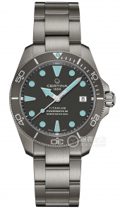 雪铁纳 C032.807.44.081.00