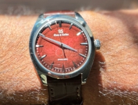 冠蓝狮盘面从不会让人失望