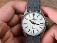 冠蓝狮又一款俱佳作品