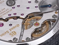 冠蓝狮又一款俱佳作品